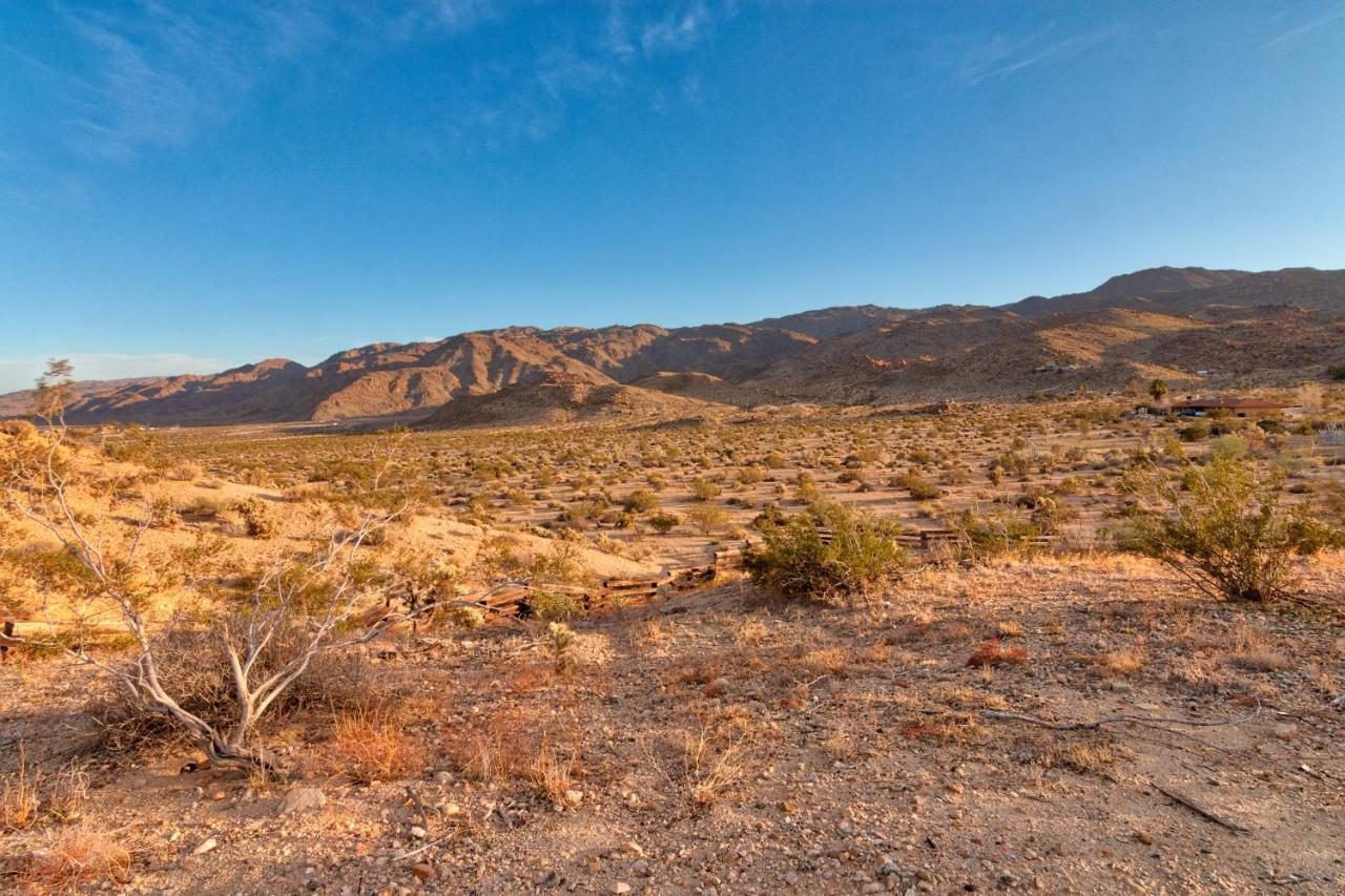 Chuck'S Cabin In A Joshua Tree Community Twentynine Palms Exteriör bild